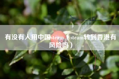 有没有人用中国steam（steam转到香港有风险吗）