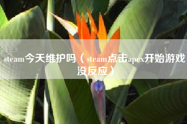 steam今天维护吗（steam点击apex开始游戏没反应）