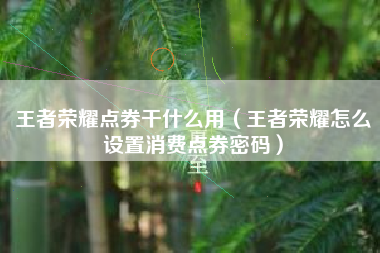 王者荣耀点券干什么用（王者荣耀怎么设置消费点券密码）