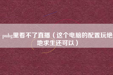 pubg里看不了直播（这个电脑的配置玩绝地求生还可以）