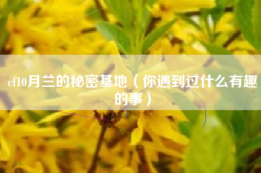 cf10月兰的秘密基地（你遇到过什么有趣的事）