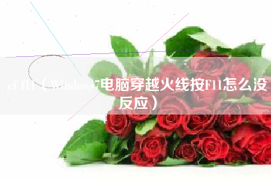 cf f11（Windows7电脑穿越火线按F11怎么没反应）