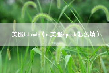 美服lol code（ns美服zipcode怎么填）