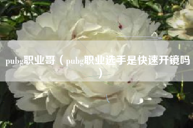 pubg职业哥（pubg职业选手是快速开镜吗）