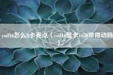 cod16怎么N卡亮点（cod16显卡1650带得动吗）