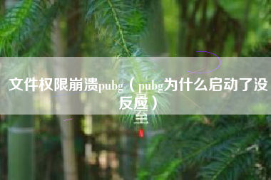 文件权限崩溃pubg（pubg为什么启动了没反应）