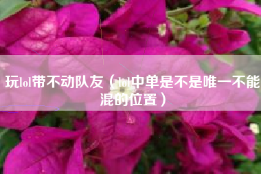 玩lol带不动队友（lol中单是不是唯一不能混的位置）