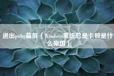 退出pubg蓝屏（Windows系统总是卡顿是什么原因）