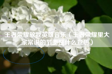 王者荣耀敌我英雄音乐（王者荣耀里大家常说的节奏是什么意思）