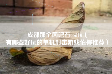 成都那个网吧有cod16（
有哪些好玩的单机射击游戏值得推荐）