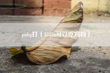 pubg打（3537u可以吃鸡吗）