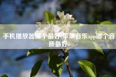 手机播放器哪个最好(苹果音乐app哪个音质最好)