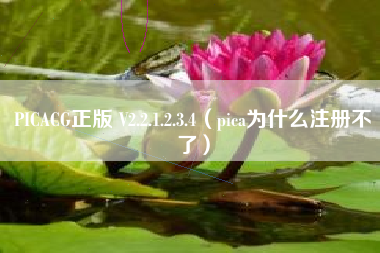 PICACG正版 V2.2.1.2.3.4（pica为什么注册不了）