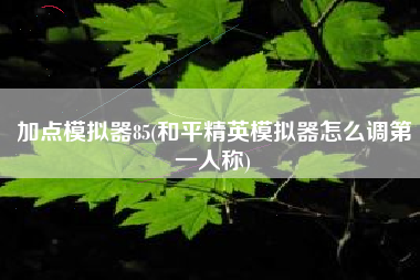 加点模拟器85(和平精英模拟器怎么调第一人称)