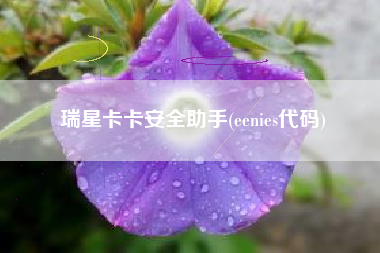 瑞星卡卡安全助手(eenies代码)