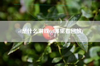 cf是什么游戏(cf哪里看回放)