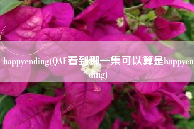 happyending(QAF看到哪一集可以算是happyending)