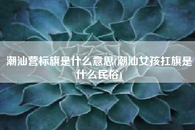 潮汕营标旗是什么意思(潮汕女孩扛旗是什么民俗)