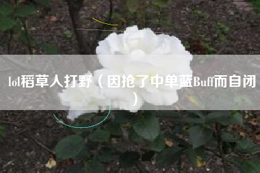 lol稻草人打野（因抢了中单蓝Buff而自闭）