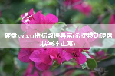 硬盘s.m.a.r.t指标数据异常(希捷移动硬盘读写不正常)