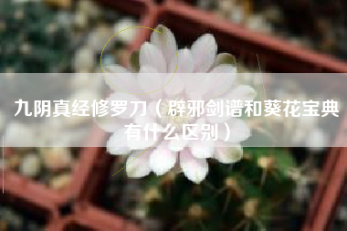 九阴真经修罗刀（辟邪剑谱和葵花宝典有什么区别）