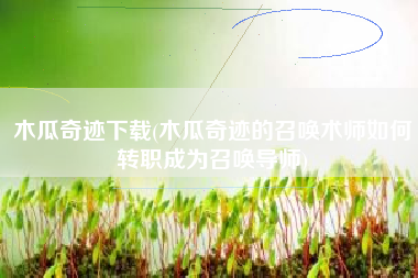 木瓜奇迹下载(木瓜奇迹的召唤术师如何转职成为召唤导师)