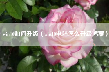 win10如何升级（win10电脑怎么升级鸿蒙）