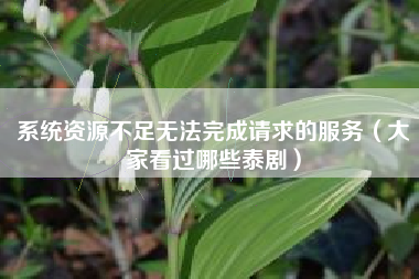 系统资源不足无法完成请求的服务（大家看过哪些泰剧）