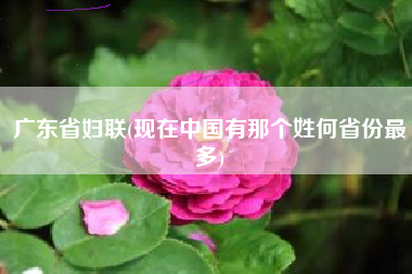 广东省妇联(现在中国有那个姓何省份最多)