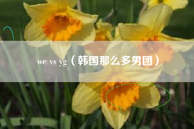 we vs yg（韩国那么多男团）