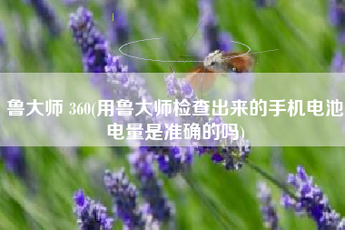 鲁大师 360(用鲁大师检查出来的手机电池电量是准确的吗)