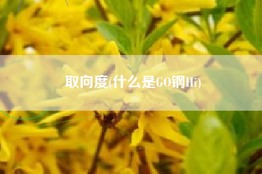 取向度(什么是GO钢Hi)