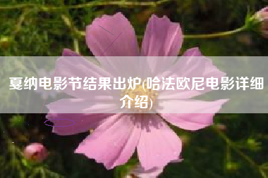 戛纳电影节结果出炉(哈法欧尼电影详细介绍)