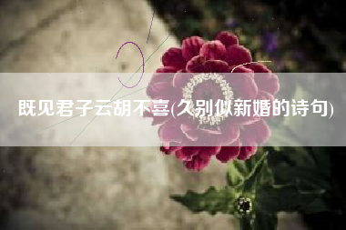 既见君子云胡不喜(久别似新婚的诗句)