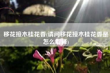 移花接木桂花香(请问移花接木桂花香是怎么解释)