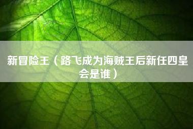 新冒险王（路飞成为海贼王后新任四皇会是谁）