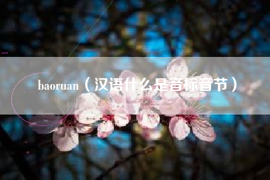 baoruan（汉语什么是音标音节）