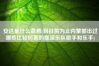 安达是什么意思(到目前为止内蒙都出过哪些比较厉害的摇滚乐队歌手和乐手)