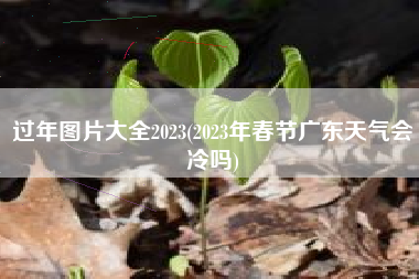 过年图片大全2023(2023年春节广东天气会冷吗)