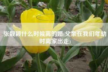 张靓颖什么时候离的婚(父亲在我们年幼时离家出走)