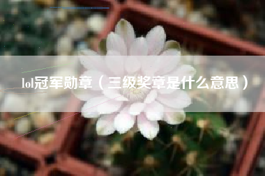 lol冠军勋章（三级奖章是什么意思）