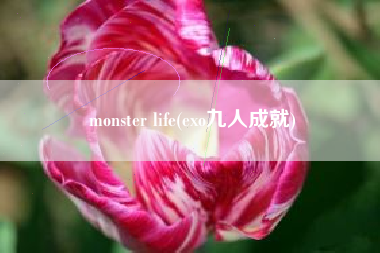 monster life(exo九人成就)