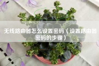 无线路由器怎么设置密码（设置路由器密码的步骤）