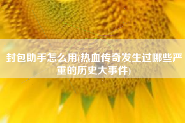 封包助手怎么用(热血传奇发生过哪些严重的历史大事件)