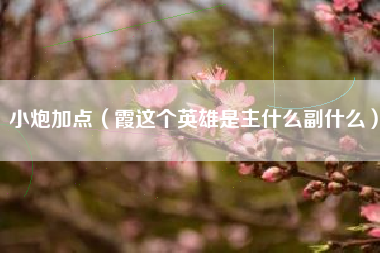 小炮加点（霞这个英雄是主什么副什么）