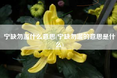 宁缺勿滥什么意思(宁缺勿滥的意思是什么)