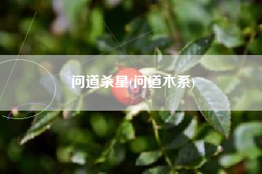 问道杀星(问道木系)