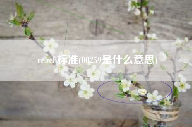 reach标准(00259是什么意思)