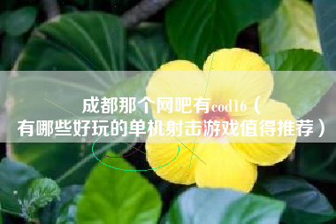 成都那个网吧有cod16（
有哪些好玩的单机射击游戏值得推荐）