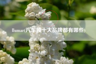 llumar(汽车膜十大品牌都有哪些)